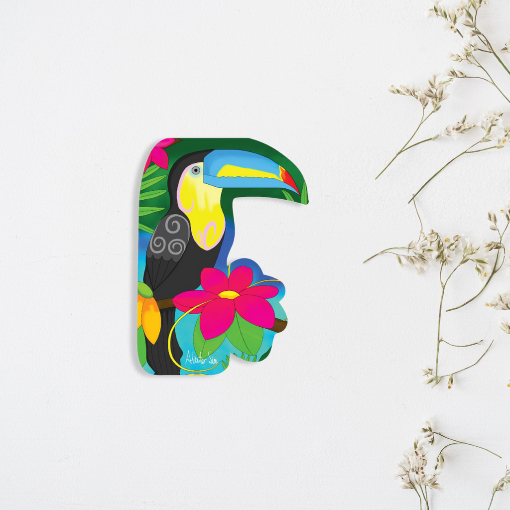 Toucan Magnet