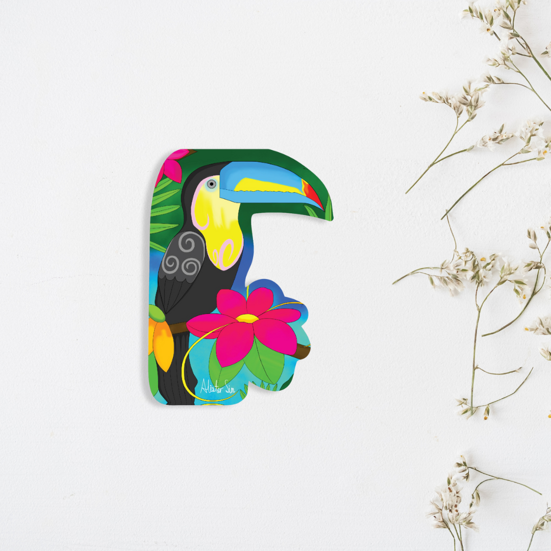 Toucan Magnet