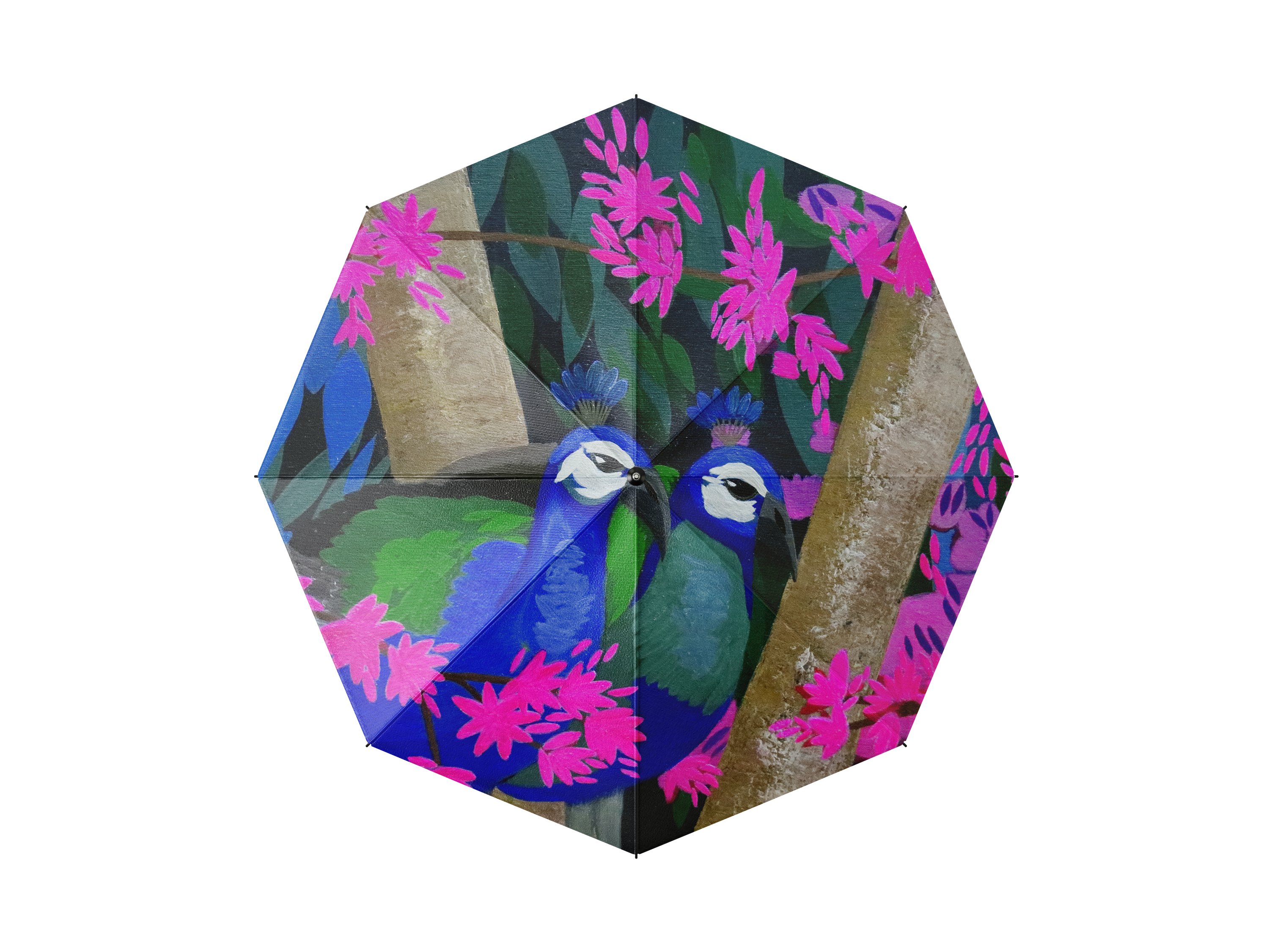 Peacock Umbrella