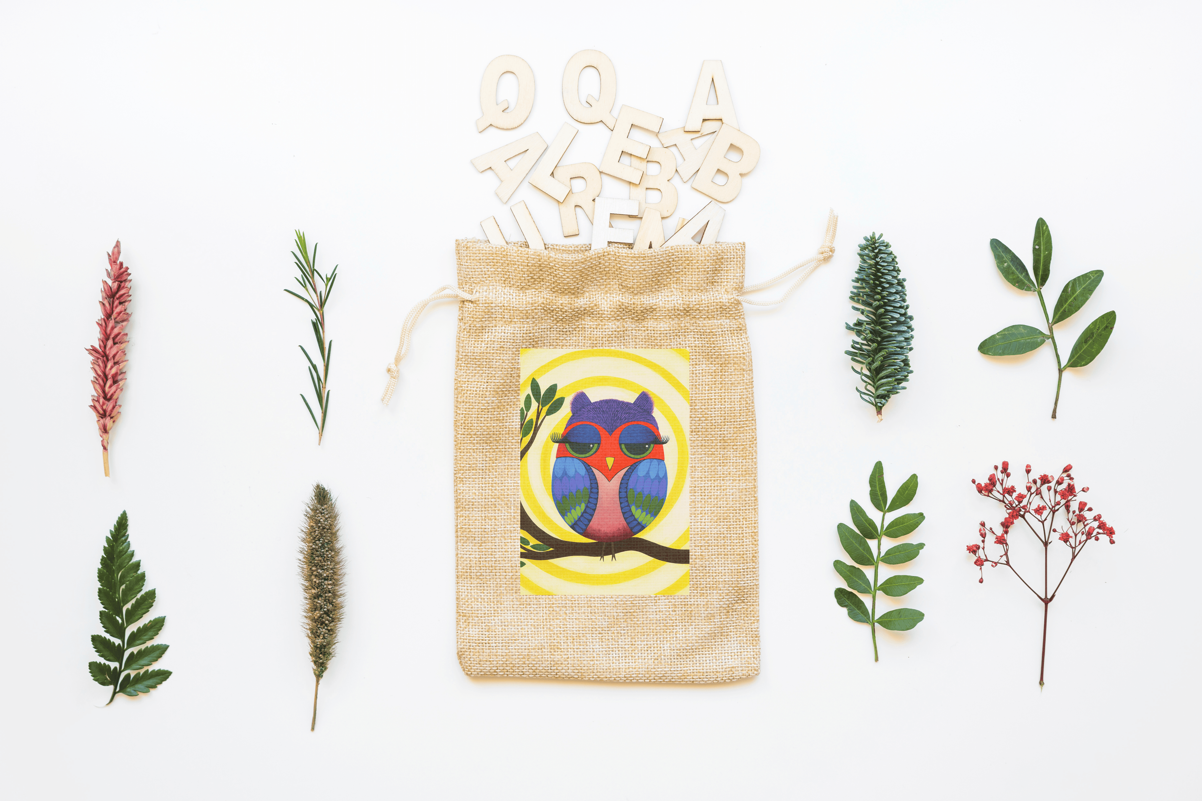 Owl Canvas Drawstring Bag