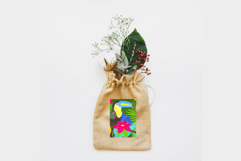 Toucan Canvas Drawstring Bag
